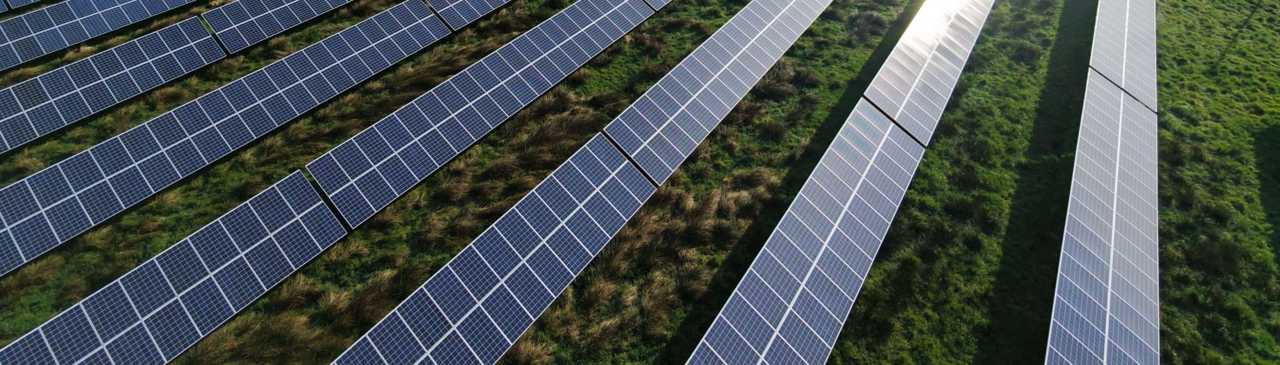 Hausmann Team Solarpark in Apen, Friesland