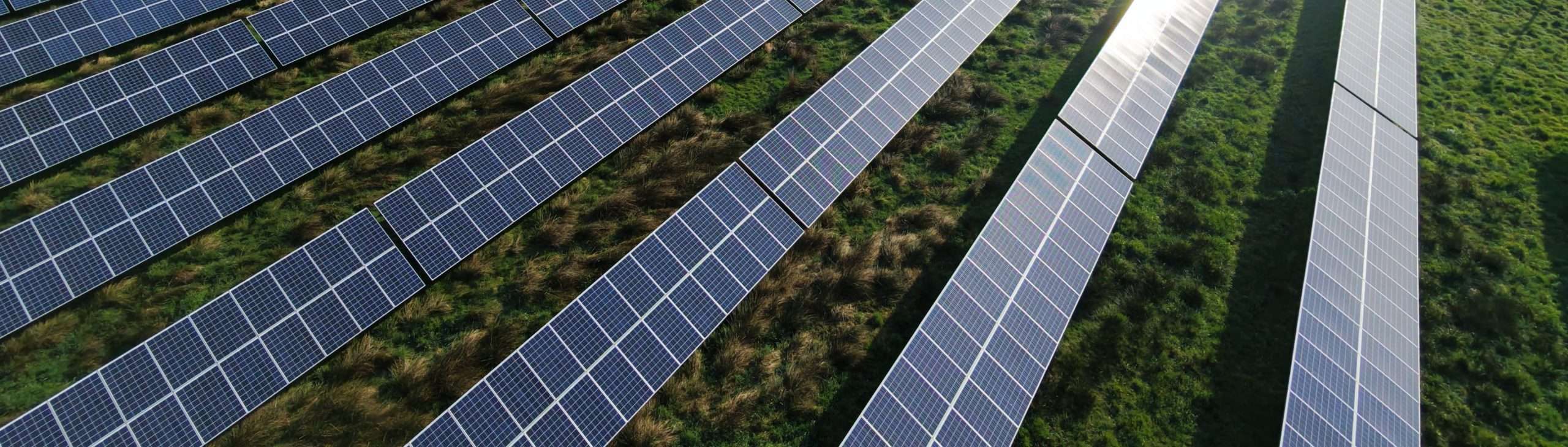 Hausmann Team Solarpark in Apen, Friesland
